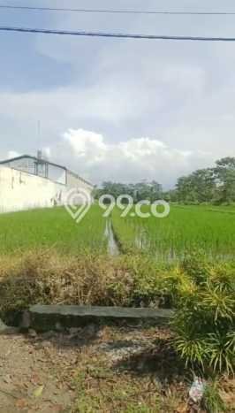 Lahan untuk Dijual di Pakisaji Malang Luas 18010m2 Lahan untuk Dijual di Pakisaji Malang Luas 18010m2