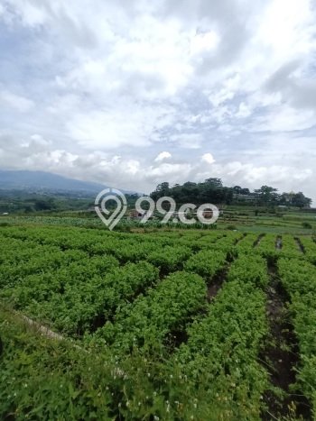 Tanah Kavling Dijual di Batu, Malang dengan Luas Tanah 261m2 Tanah Kavling Dijual di Batu, Malang dengan Luas Tanah 261m2