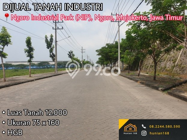 Tanah Dijual Lokasi Ngoro, Mojokerto dengan Luas Tanah 12000m2 dan Status - Tanah Dijual Lokasi Ngoro, Mojokerto dengan Luas Tanah 12000m2 dan Status -