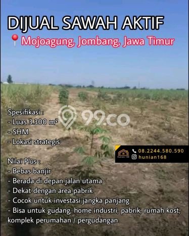 Jarang Ada! Tanah di Mojoagung Punya Luas 3300m2 SHM Jarang Ada! Tanah di Mojoagung Punya Luas 3300m2 SHM