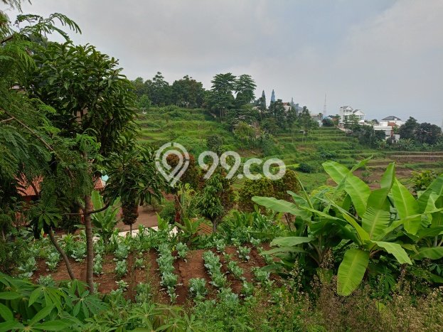 Tanah Kavling untuk Dijual di Cimahi Utara Cimahi 2850m2 Tanah Kavling untuk Dijual di Cimahi Utara Cimahi 2850m2