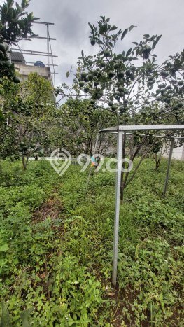 Unit Komersial Disewakan di Malang Area Strategis Harga Kompetitif Unit Komersial Disewakan di Malang Area Strategis Harga Kompetitif