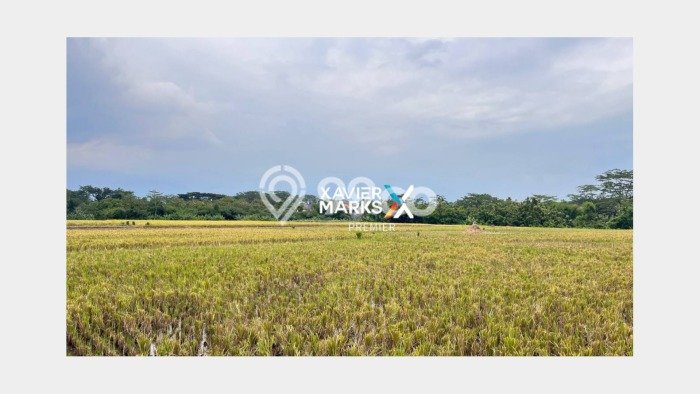 Tanah Kavling untuk Dijual di Pakis Malang 8190m2 Tanah Kavling untuk Dijual di Pakis Malang 8190m2