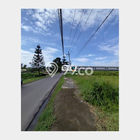 Tanah Kavling untuk Dijual di Pakis Malang 4843m2 Tanah Kavling untuk Dijual di Pakis Malang 4843m2
