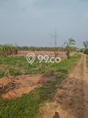 Tanah Kavling untuk Dijual di Trowulan Mojokerto 5130m2 Tanah Kavling untuk Dijual di Trowulan Mojokerto 5130m2