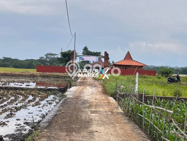 Tanah Kavling untuk Dijual di Pakis Malang 8190m2 Tanah Kavling untuk Dijual di Pakis Malang 8190m2