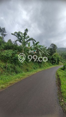 Tanah Dijual Lokasi Wagir, Malang dengan Luas Tanah 2476m2 dan Status SHM Tanah Dijual Lokasi Wagir, Malang dengan Luas Tanah 2476m2 dan Status SHM