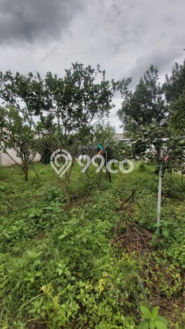 Unit Komersial Disewakan di Malang Area Strategis Harga Kompetitif Unit Komersial Disewakan di Malang Area Strategis Harga Kompetitif