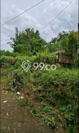 Tanah Investasi Dijual di Malang Punya Luas 19000m2 Tanah Investasi Dijual di Malang Punya Luas 19000m2
