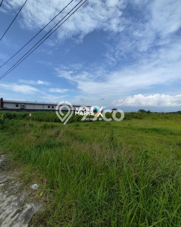 Tanah Kavling untuk Dijual di Pakis Malang 4843m2 Tanah Kavling untuk Dijual di Pakis Malang 4843m2