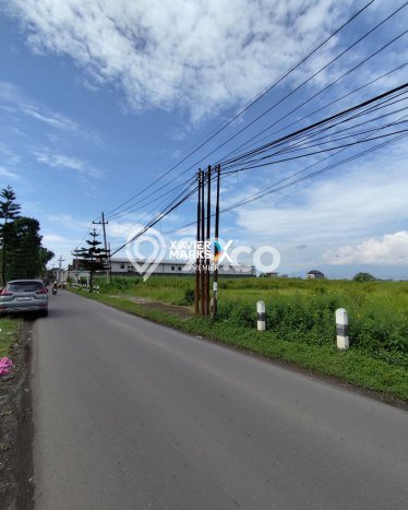 Tanah Kavling untuk Dijual di Pakis Malang 4843m2 Tanah Kavling untuk Dijual di Pakis Malang 4843m2