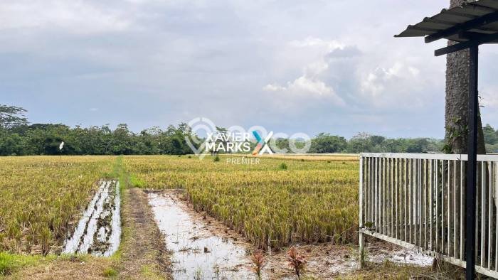 Tanah Kavling untuk Dijual di Pakis Malang 8190m2 Tanah Kavling untuk Dijual di Pakis Malang 8190m2