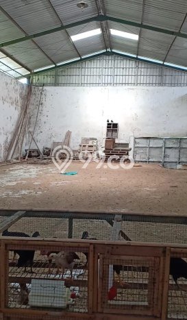 Gudang Dijual Lokasi Emas di Karangploso Luas 7000m2 Gudang Dijual Lokasi Emas di Karangploso Luas 7000m2