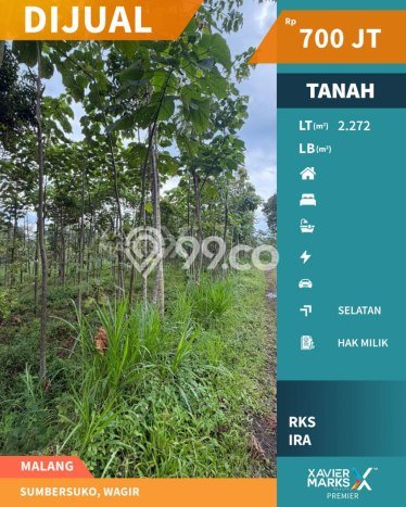 Tanah Dijual Lokasi Wagir Malang SHM Tanah Dijual Lokasi Wagir Malang SHM