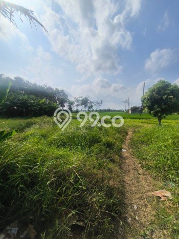 Tanah Investasi Dijual di Malang Punya Luas 392m2 Tanah Investasi Dijual di Malang Punya Luas 392m2