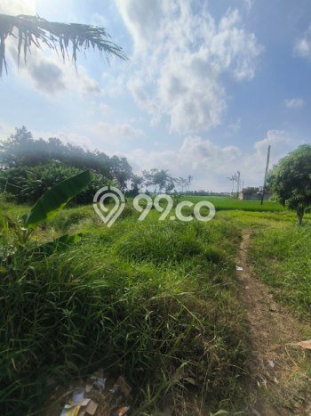 Tanah Investasi Dijual di Malang Punya Luas 392m2 Tanah Investasi Dijual di Malang Punya Luas 392m2