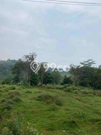 Tanah Dijual Lokasi Kasembon, Malang Luas 4181m2 Legalitas Aman Tanah Dijual Lokasi Kasembon, Malang Luas 4181m2 Legalitas Aman