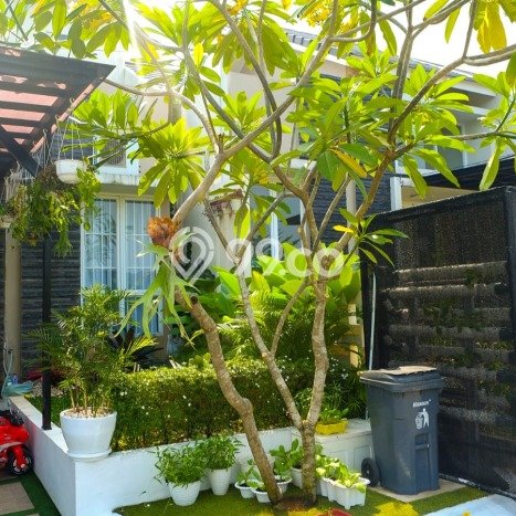 Rumah Modern Cantik 2 Kamar Bisa Langsung Pindah di Gunung Sindur Rumah Modern Cantik 2 Kamar Bisa Langsung Pindah di Gunung Sindur