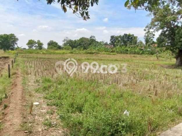 Lahan Dijual Lokasi Subang, Subang dengan Luas Tanah 3e+06m2 dan Status SHM Lahan Dijual Lokasi Subang, Subang dengan Luas Tanah 3e+06m2 dan Status SHM