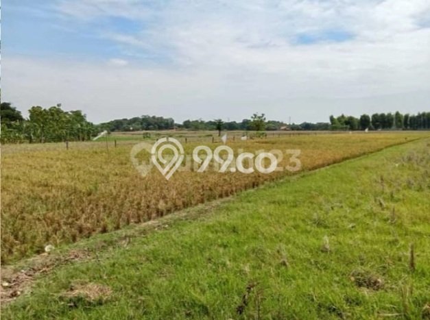 Lahan Dijual Lokasi Subang, Subang dengan Luas Tanah 3e+06m2 dan Status SHM Lahan Dijual Lokasi Subang, Subang dengan Luas Tanah 3e+06m2 dan Status SHM