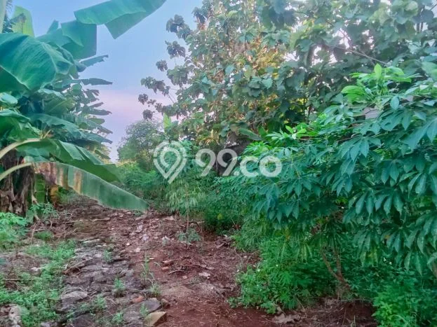 Tanah untuk Dijual di Gunung Putri Bogor Luas 4492m2 Tanah untuk Dijual di Gunung Putri Bogor Luas 4492m2
