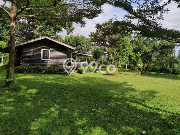 Tanah Dijual Lokasi Bogor Barat, Bogor Luas 3200m2 Legalitas Aman Tanah Dijual Lokasi Bogor Barat, Bogor Luas 3200m2 Legalitas Aman