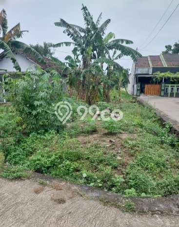 Lahan untuk Dijual Lokasi Berbah, Sleman Luas 600m2 SHM Lahan untuk Dijual Lokasi Berbah, Sleman Luas 600m2 SHM