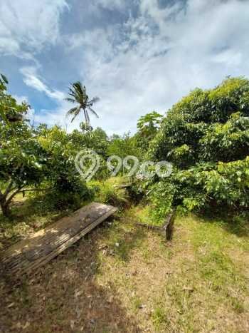 Tanah Dijual Lokasi Dlingo, Bantul dengan Luas Tanah 6840m2 dan Status SHM Tanah Dijual Lokasi Dlingo, Bantul dengan Luas Tanah 6840m2 dan Status SHM