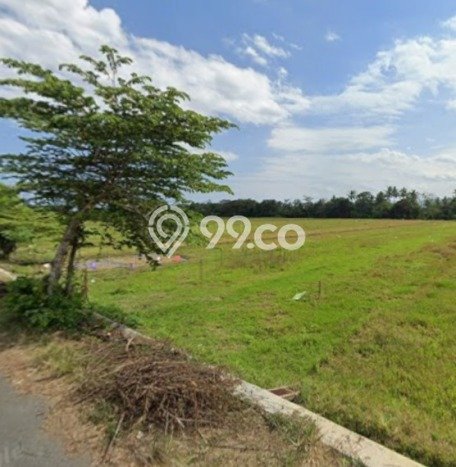 Jarang Ada! Tanah di Moyudan Punya Luas 1370m2 SHM Jarang Ada! Tanah di Moyudan Punya Luas 1370m2 SHM