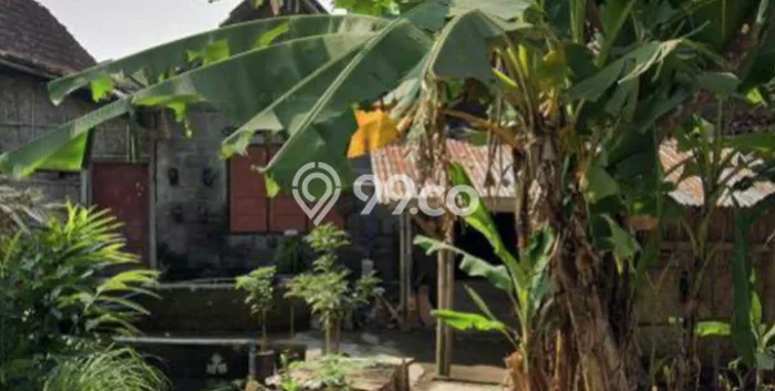 Jual Rumah Murah Meriah Sleman Punya 3 KT & LT 210m2 Jual Rumah Murah Meriah Sleman Punya 3 KT & LT 210m2