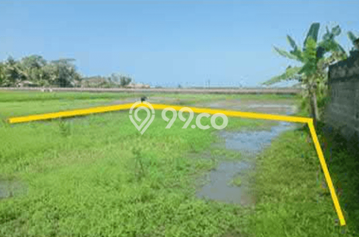 Untuk Dijual Tanah di Kokap Kulon Progo Luas 606m2 SHM Untuk Dijual Tanah di Kokap Kulon Progo Luas 606m2 SHM