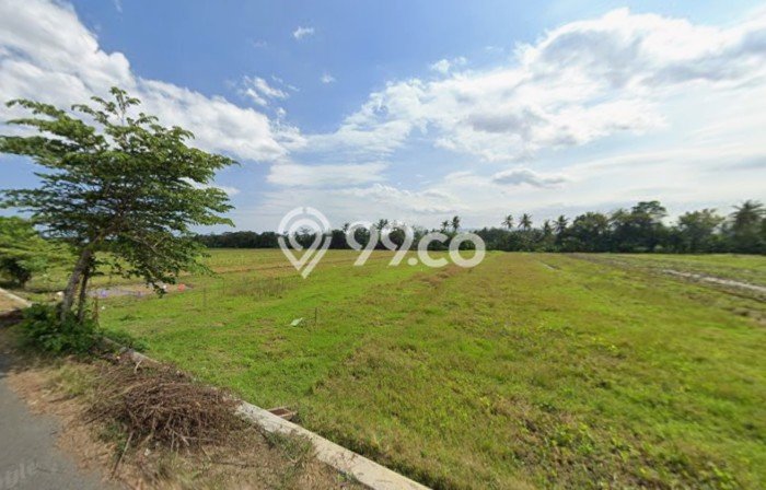 Jarang Ada! Tanah di Moyudan Punya Luas 1370m2 SHM Jarang Ada! Tanah di Moyudan Punya Luas 1370m2 SHM