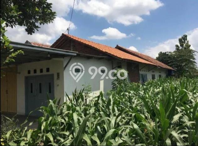 Jual Rumah Bagus Siap Huni LB 200m2 di Piyungan, Bantul Jual Rumah Bagus Siap Huni LB 200m2 di Piyungan, Bantul