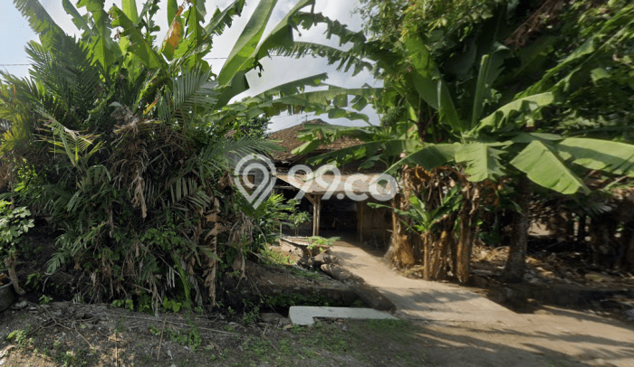 Jual Rumah Murah Meriah Sleman Punya 3 KT & LT 210m2 Jual Rumah Murah Meriah Sleman Punya 3 KT & LT 210m2