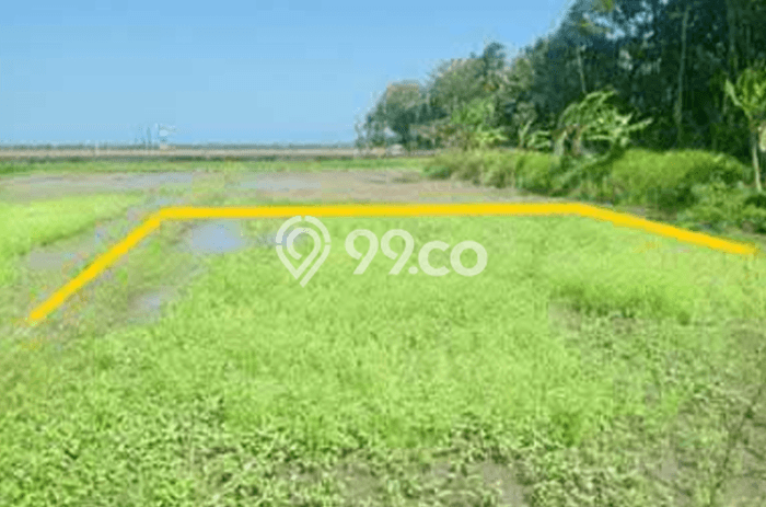 Untuk Dijual Tanah di Kokap Kulon Progo Luas 606m2 SHM Untuk Dijual Tanah di Kokap Kulon Progo Luas 606m2 SHM