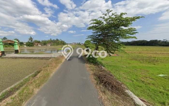 Jarang Ada! Tanah di Moyudan Punya Luas 1370m2 SHM Jarang Ada! Tanah di Moyudan Punya Luas 1370m2 SHM