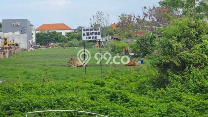 Tanah Siap Bangun Dijual di Badung Punya Luas 1000m2 Tanah Siap Bangun Dijual di Badung Punya Luas 1000m2