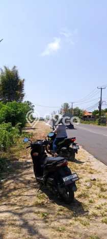 For Rent Tanah Kawasan Kutuh, Luas 930m², Akses Bagus, Lokasi Premium For Rent Tanah Kawasan Kutuh, Luas 930m², Akses Bagus, Lokasi Premium