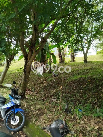 Jual Tanah Lokasi Strategis di Resor Dago Pakar, Luas 712m², Dekat Resor Dago Pakar, Bandung, Bandung Jual Tanah Lokasi Strategis di Resor Dago Pakar, Luas 712m², Dekat Resor Dago Pakar, Bandung, Bandung