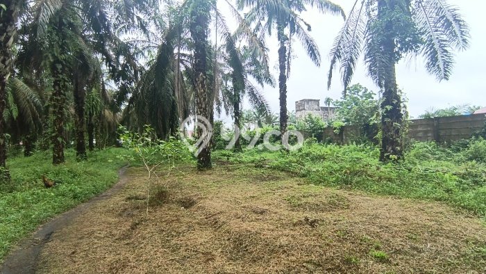 Untuk Dijual Tanah di Pekanbaru Kota Pekanbaru Luas 18m2 SHM Untuk Dijual Tanah di Pekanbaru Kota Pekanbaru Luas 18m2 SHM