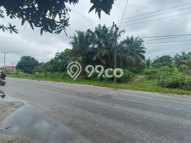 Untuk Dijual Tanah di Pekanbaru Kota Pekanbaru Luas 18m2 SHM Untuk Dijual Tanah di Pekanbaru Kota Pekanbaru Luas 18m2 SHM