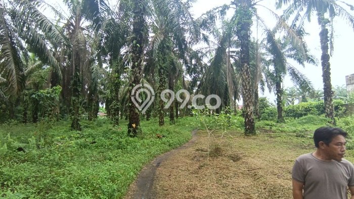 Untuk Dijual Tanah di Pekanbaru Kota Pekanbaru Luas 18m2 SHM Untuk Dijual Tanah di Pekanbaru Kota Pekanbaru Luas 18m2 SHM