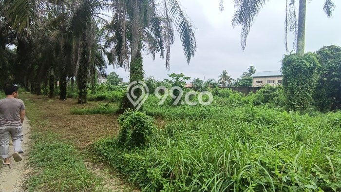 Untuk Dijual Tanah di Pekanbaru Kota Pekanbaru Luas 18m2 SHM Untuk Dijual Tanah di Pekanbaru Kota Pekanbaru Luas 18m2 SHM