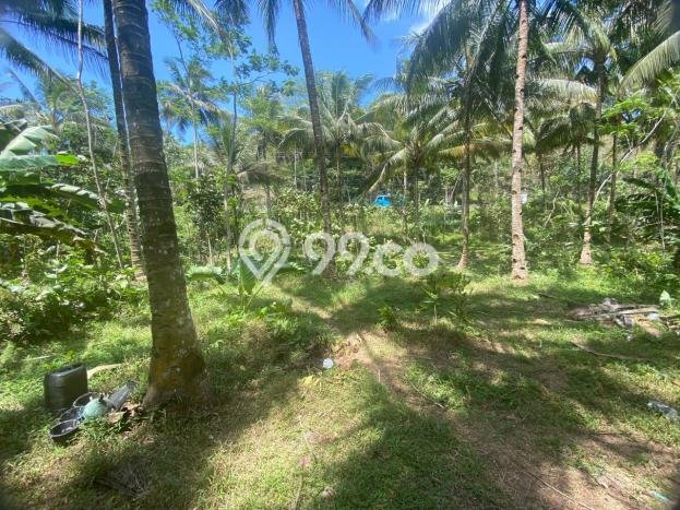 Jual Tanah Lokasi Prima Kawasan Kalipucang, Luas 4131m2m², Dekat Fasilitas Umum Jual Tanah Lokasi Prima Kawasan Kalipucang, Luas 4131m2m², Dekat Fasilitas Umum