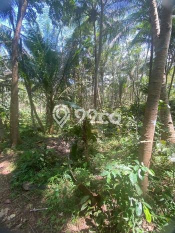 Jual Tanah Lokasi Prima Kawasan Kalipucang, Luas 4131m2m², Dekat Fasilitas Umum Jual Tanah Lokasi Prima Kawasan Kalipucang, Luas 4131m2m², Dekat Fasilitas Umum