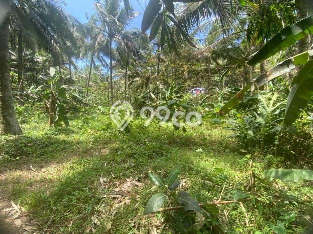Jual Tanah Lokasi Prima Kawasan Kalipucang, Luas 4131m2m², Dekat Fasilitas Umum Jual Tanah Lokasi Prima Kawasan Kalipucang, Luas 4131m2m², Dekat Fasilitas Umum