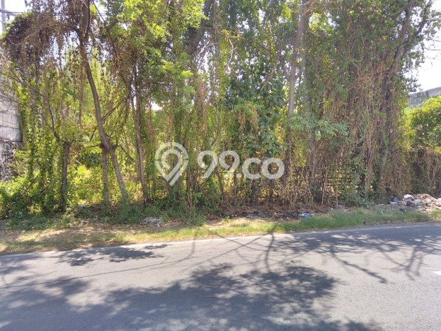 HARGA TERBAIK! Tanah Kawasan Rembang, Luas 10429m2m², Dekat Jalan Utama, Cocok untuk Investasi HARGA TERBAIK! Tanah Kawasan Rembang, Luas 10429m2m², Dekat Jalan Utama, Cocok untuk Investasi