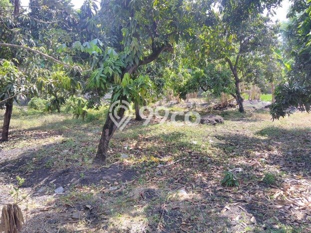 HARGA TERBAIK! Tanah Kawasan Rembang, Luas 10429m2m², Dekat Jalan Utama, Cocok untuk Investasi HARGA TERBAIK! Tanah Kawasan Rembang, Luas 10429m2m², Dekat Jalan Utama, Cocok untuk Investasi