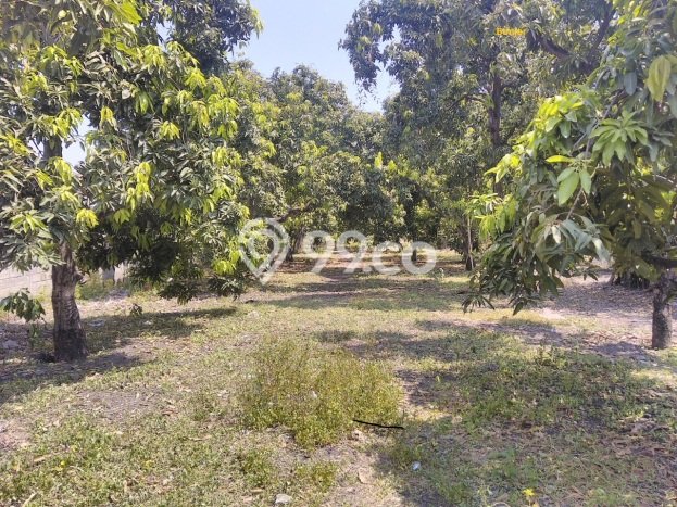 HARGA TERBAIK! Tanah Kawasan Rembang, Luas 10429m2m², Dekat Jalan Utama, Cocok untuk Investasi HARGA TERBAIK! Tanah Kawasan Rembang, Luas 10429m2m², Dekat Jalan Utama, Cocok untuk Investasi