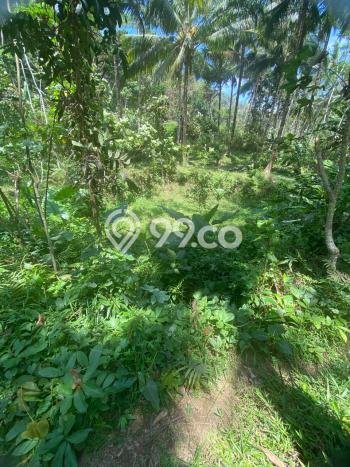 Jual Tanah Lokasi Prima Kawasan Kalipucang, Luas 4131m2m², Dekat Fasilitas Umum Jual Tanah Lokasi Prima Kawasan Kalipucang, Luas 4131m2m², Dekat Fasilitas Umum